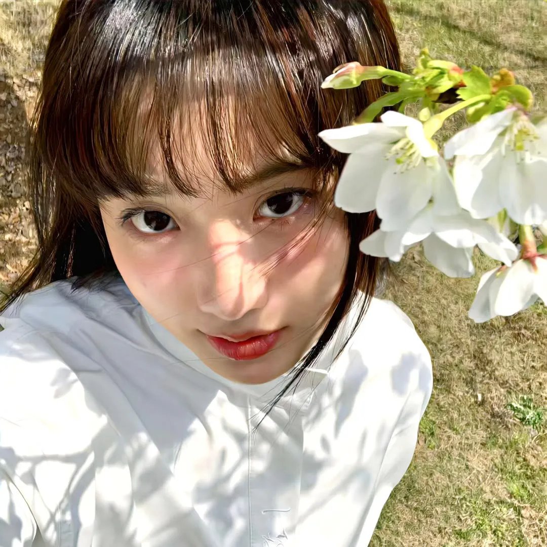 手里剑战队忍忍者